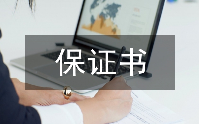 十七大新華時(shí)評(píng)：要切實(shí)保證政令暢通