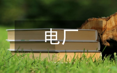 電廠安全生產(chǎn)反思