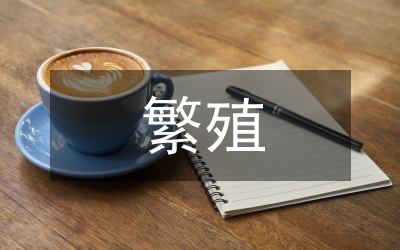 泡桐繁殖栽培思考