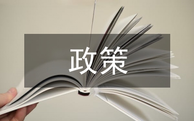 新經(jīng)濟(jì)政策意義
