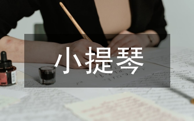小提琴藝術(shù)民族化探索