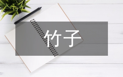 杉木人工林套種竹子推廣方法
