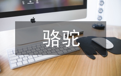 駱駝祥子讀后隨想