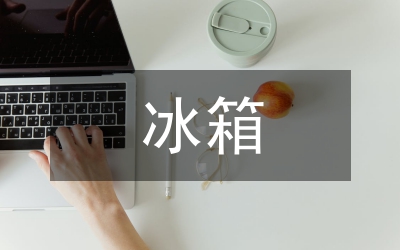 冰箱產(chǎn)品結(jié)構(gòu)設(shè)計管理論文