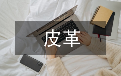 皮革制造業(yè)