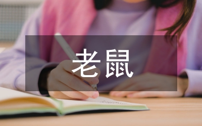 貓捉老鼠