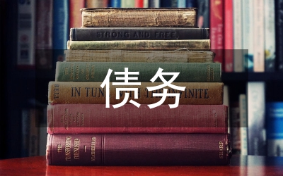 債務(wù)工作經(jīng)驗總結(jié)