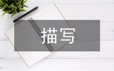 描寫(xiě)雪