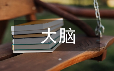論大腦視覺(jué)化聲樂(lè)教學(xué)藝術(shù)