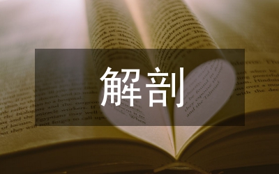 解剖生理課多媒體教學(xué)研究