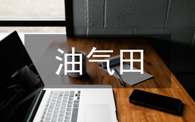 油氣分公司實習體會感悟