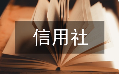 中國農(nóng)村信用社的市場銷售方案研討