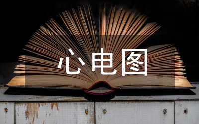 低電壓手持心電電路設(shè)計(jì)論文