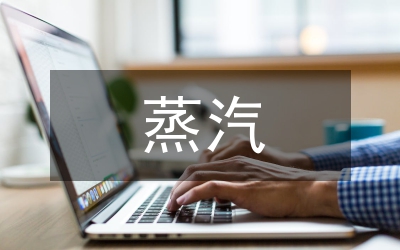 蒸汽管道關(guān)鍵技術(shù)管理論文