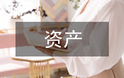 自然資源資產(chǎn)審計總結(jié)