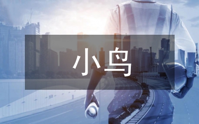 飛翔的小鳥