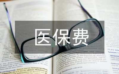 談常見效用函數(shù)下臨界保費(fèi)的計(jì)算論文