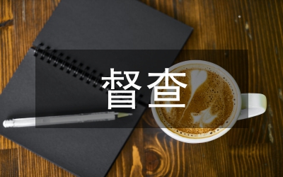 市科技局督查工作總結(jié)及下半年工作思路