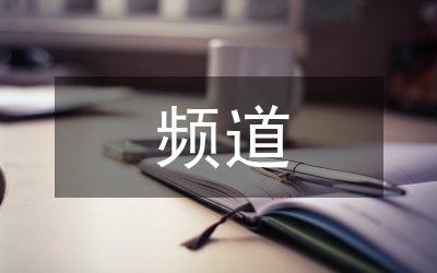 頻道專業(yè)化可行性發(fā)展論文