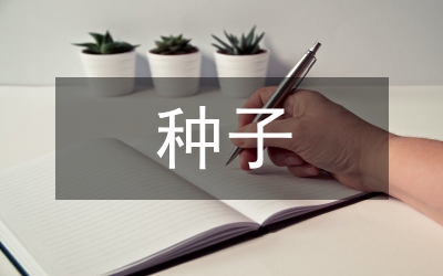 種子企業(yè)網(wǎng)絡營銷問題及對策
