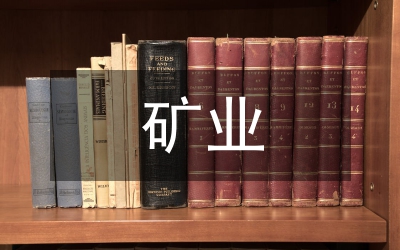 稀土礦業(yè)整治和監(jiān)管匯報