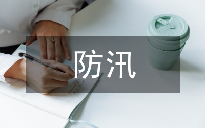 防洪防汛的工作總結(jié)