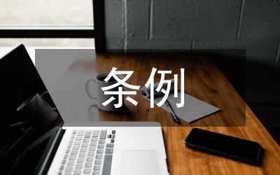 城管行政執(zhí)法條例