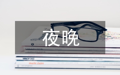 芻議夜晚游江安全管理的策略