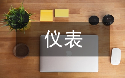 儀表試用期總結(jié)