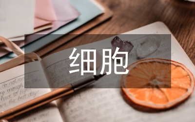 偉人細(xì)胞