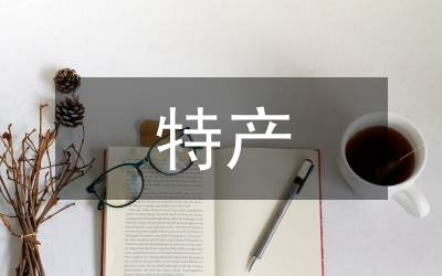 平遙古城特產(chǎn)包裝設(shè)計思路