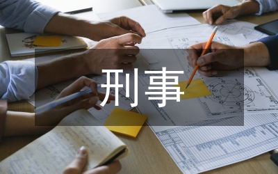 刑事案例