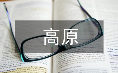 高原城市消防問題試析論文