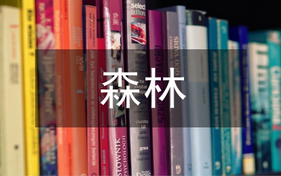 縣森林火災(zāi)撲救預(yù)案