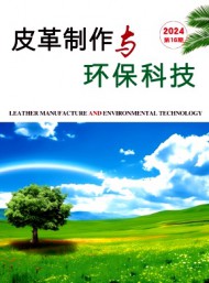 皮革制作與環(huán)?？萍? />
				</div>
				<div   id=